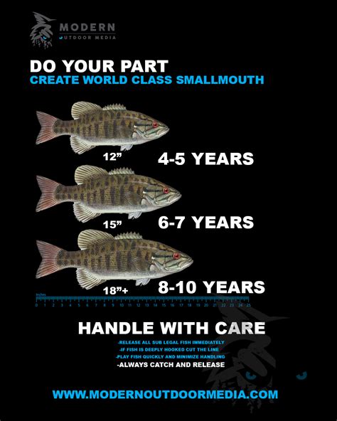 Largemouth Bass Size Chart