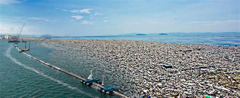 Island Of Plastic The Great Pacific Garbage Patch