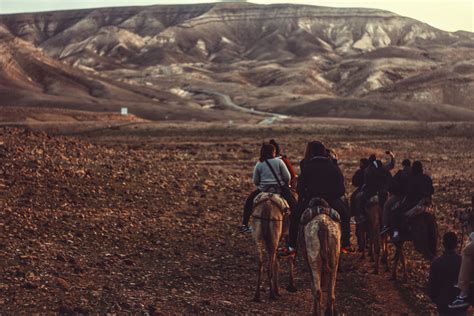 Wallpaper Id 270582 A Group Of People Riding Horses Through Dry