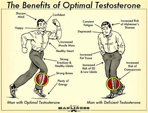 low testosterone symptoms male health review