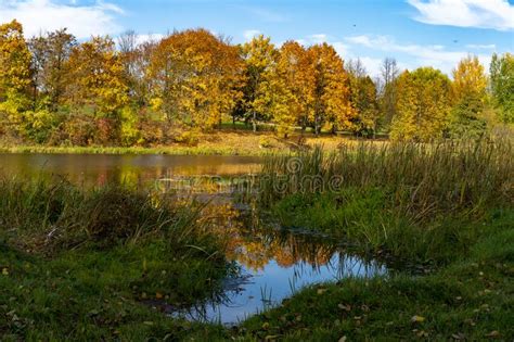 Autumn Foliage Casts Reflection On The Calm Waters Stock Image Image
