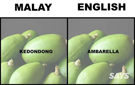 The top countries of suppliers are vietnam, vietnam, from which the percentage of kedondong supply is 71. What's Pandan And Ciku In English? We Dug Up Translations ...