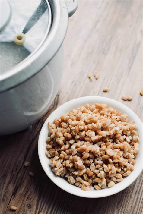 How To Cook Farro In A Rice Cooker The Incredible Bulks