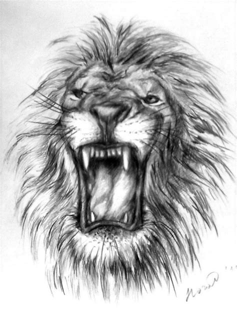 10+ Exquisite Learn To Draw Animals Ideas | Lion drawing, Lion artwork
