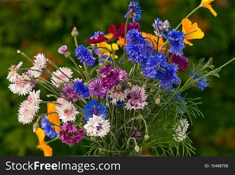 39 Bouquet Blue Cornflowers Free Stock Photos Stockfreeimages