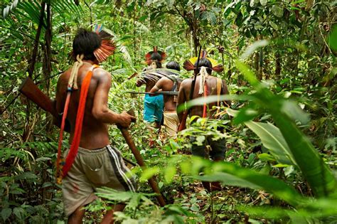 The Native Amazonians In The Amazon Rainforest Bridget T