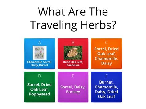 Herbs Quiz