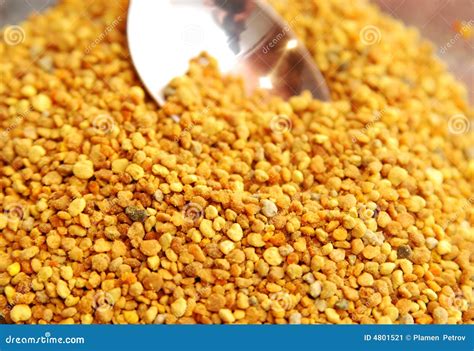 Bee Pollen Stock Image Image Of Honeycomb Lifestyle 4801521