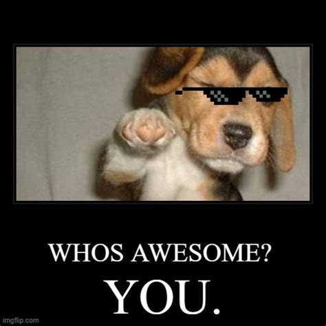 Whos Awesome Imgflip