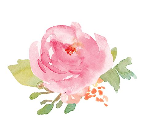Use them in commercial designs under lifetime, perpetual & worldwide rights. flowers pink watercolor water colour color artsy freeto...