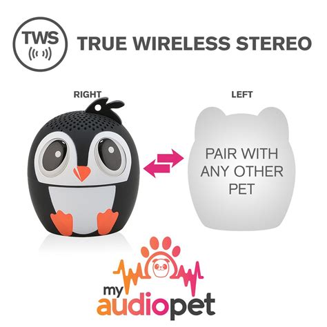 The fact is that a penguin's wings in the process of evolution transformed into flippers, which rotate in the so, with the onset of the mating season, young females choose a suitable male for themselves and go with him for mating. My Audio Pet - Ice Ice Baby the Penguin - Toy Sense
