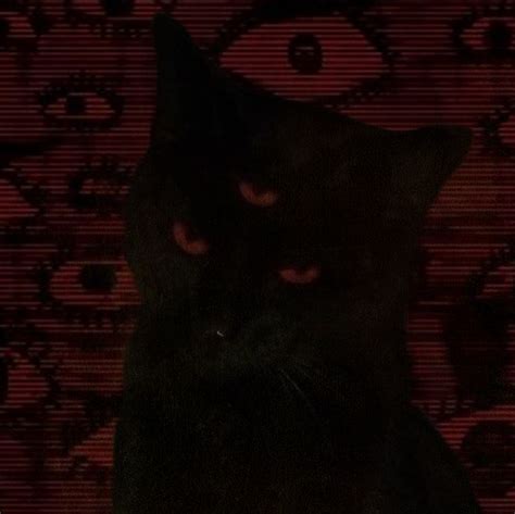 Demonic Cat In 2023 Black Cat Aesthetic Cat Dark Red Cat