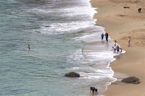 Kas otsite bed & breakfast, hostel, vacation rental või hotell playa el canelois? Playa el Canelo ALGARROBO