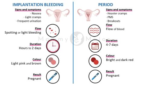 Implantation Bleeding All You Need To Know Forbes Hea