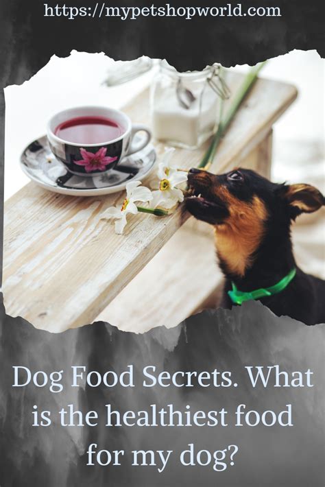 Easy online ordering for takeout and delivery from late night restaurants near you. What is the right dog food for your dog? This is something ...