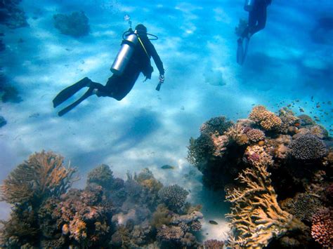 All Inclusive Bahamas Scuba Diving Resorts Club Med