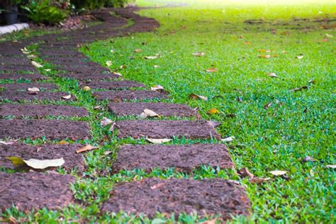Green Lawn Beautiful Stepping Stone Pathway With Green Lawn Stock
