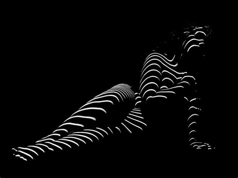1370 TND Zebra Woman Striped Woman Black And White Abstract Photo By