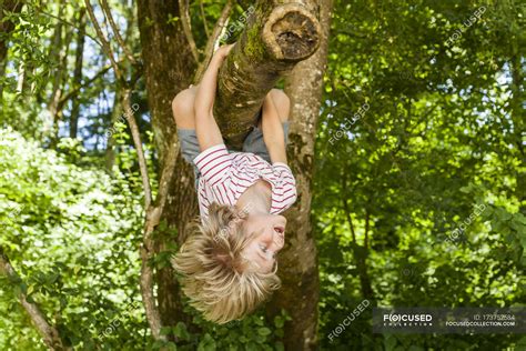 Little Boy Climbing On A Tree In The Forest — Blond Childhood Stock