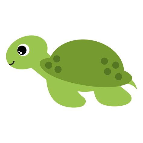 Turtle Single Clipart Turtle Graphic Digital Images Instant Download