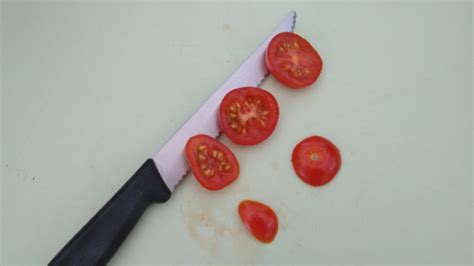 Tomaten Selber Ziehen Aus Der Lieblingstomate Trick 77 Srf