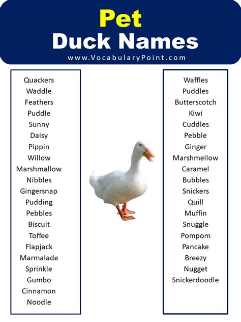 List Of Best Funny Duck Names Vocabulary Point