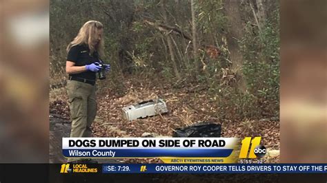 Nine Dogs Found Dead Near Rural Wilson County Roads Reward Offered