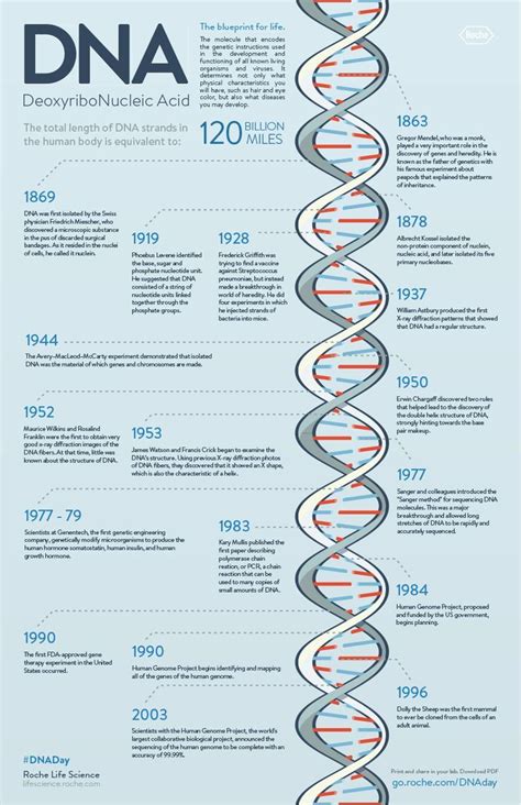Dna Day Inforgraphic Molecular Biology Dna History Biomedical Science