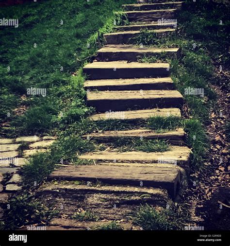 Natures Stairway Stock Photo Alamy