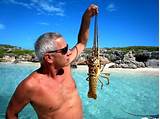 Photos of Turks And Caicos Fishing Season