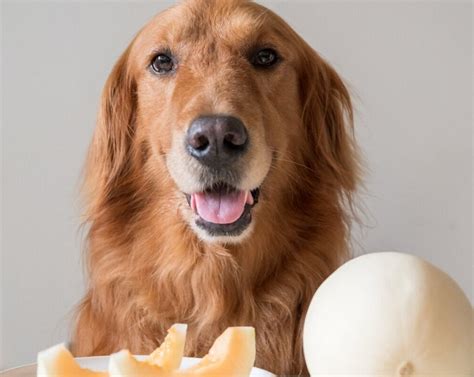 Simple Science: How to Make a Volcano with Kids