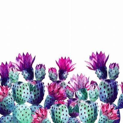 Cactus Watercolor Illustration Succulent Vector Illustrations Clip