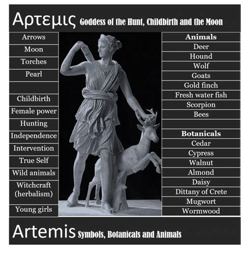 Artemis Wild Goddess Her Story Themes Correspondences And More