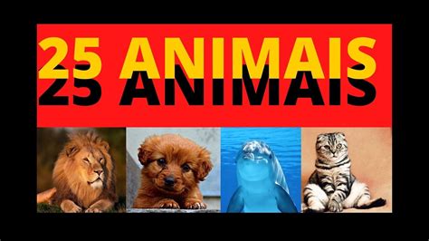 25 Animais Com Nomes E Sons Dos Animais Para Crianças Vida Dos