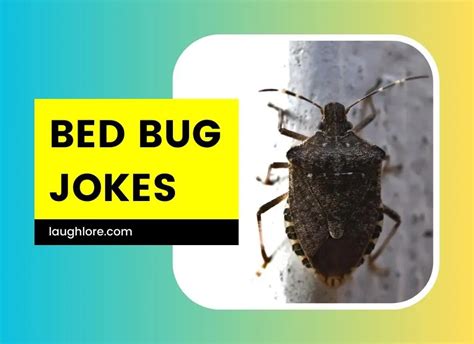 101 Bed Bug Jokes Laugh Lore