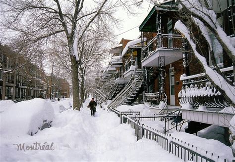 Montreal Montreal In Winter Winter Scenery Canada Montreal