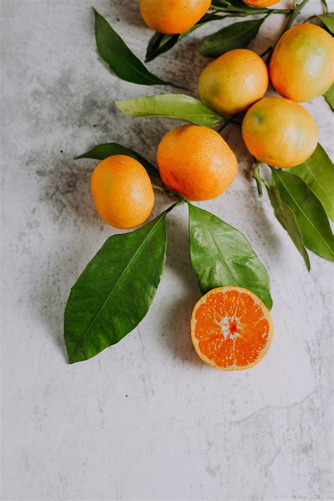 Tangerines Fruit Branch Citrus Orange Hd Phone Wallpaper Peakpx