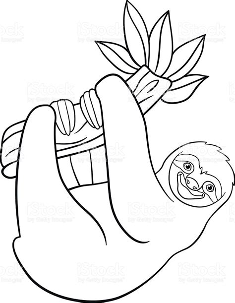 Three Toed Sloth Coloring Pages At Getdrawings Free Download