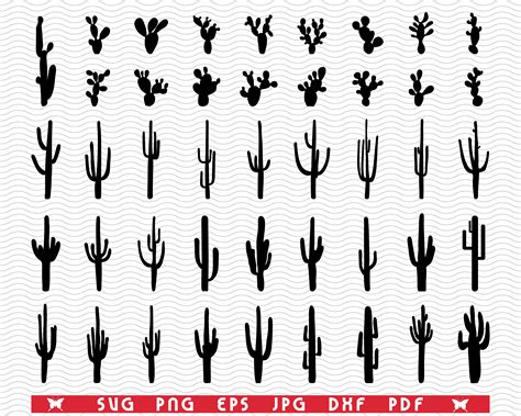 Svg Cacti Black Silhouettes Digital Clipart By Designstudiorm