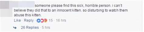 Facebook Video Shows Kitten Being Stoned To Death In Nz Daily Mail Online