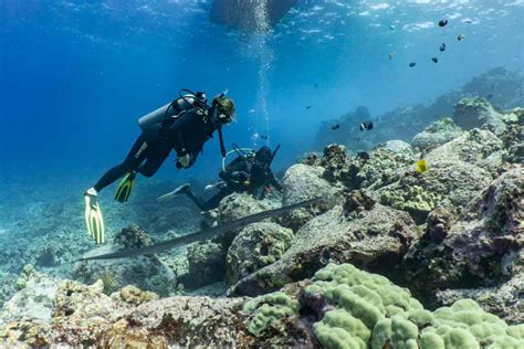 My First Hawaii Scuba Dive Kona Honu Divers