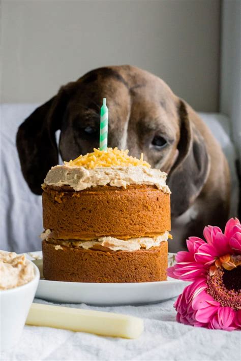 Mini Dog Birthday Cake The Almond Eater