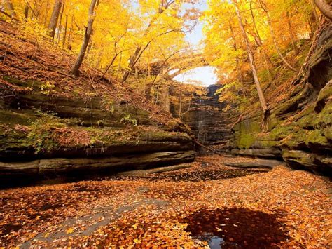 Peak Fall Foliage When And Where To See It In Illinois Chicago Il Patch