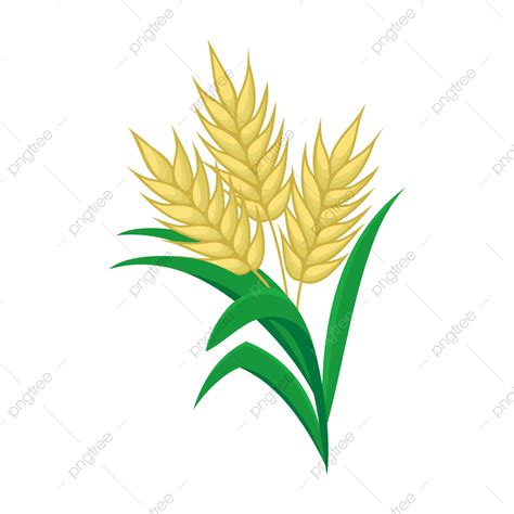 Update 79 Imagen Rice Plant Transparent Background Vn
