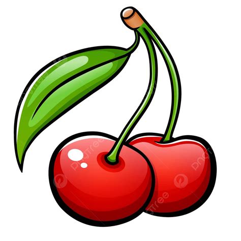 Vector Cherries Isolated Design Drawing Cartoon Berry Sweet Vector