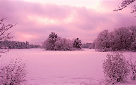 Download Pink Winter Wallpaper Gallery