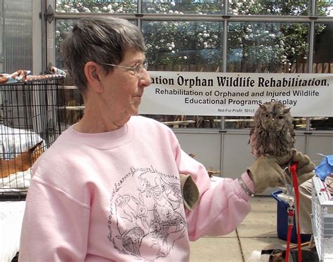 Dr Riggs Rehabilitating Orphan And Injured Wildlife Since 1962