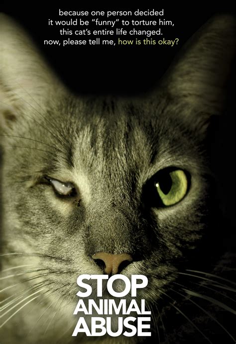 Stop Animal Abuse Advocacy Poster Behance