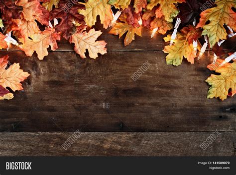 Rustic Fall Background Autumn Image And Photo Bigstock