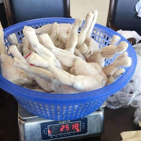 Frozen Bull Frog Legs For Sale With China Originchina Price Supplier
